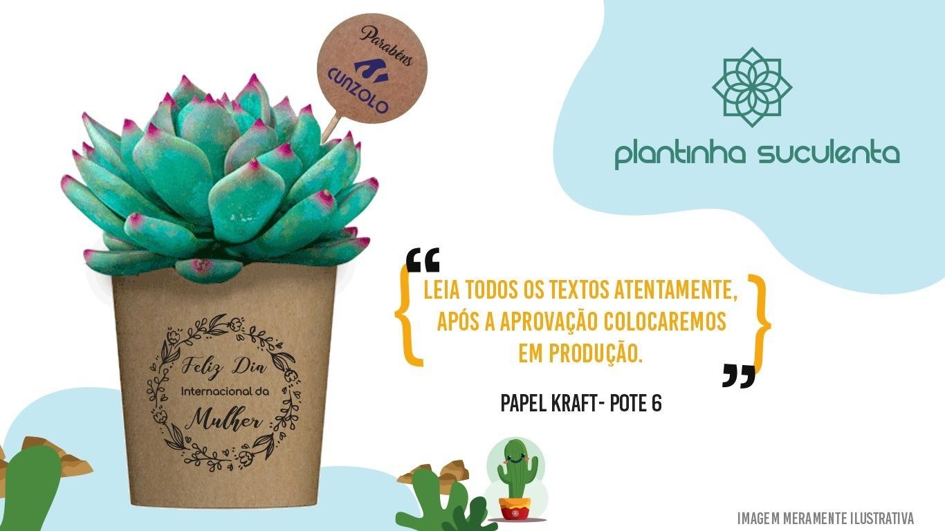 Entrega de Suculentas Cunzolo