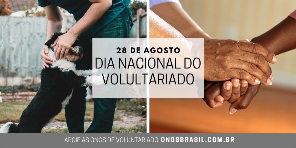 Dia do Voluntariado